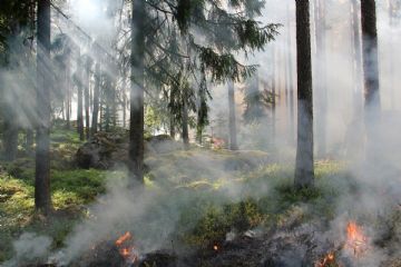 Regione Liguria - Cessazione dello stato di grave pericolosit&#224; per gli incendi boschivi